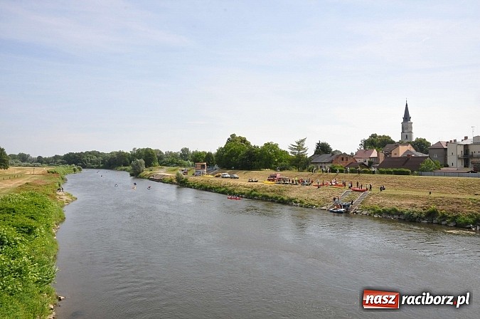 Zdjęcie w galerii na portalu naszraciborz.pl: Pierwsze koty za płoty. Sezon na Meandrach Odry otwarty wiadomości z regionu