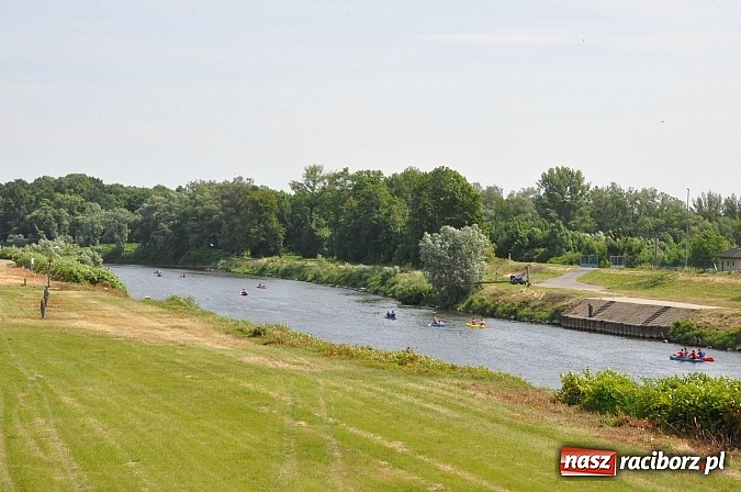 Zdjęcie w galerii na portalu naszraciborz.pl: Pierwsze koty za płoty. Sezon na Meandrach Odry otwarty wiadomości z regionu