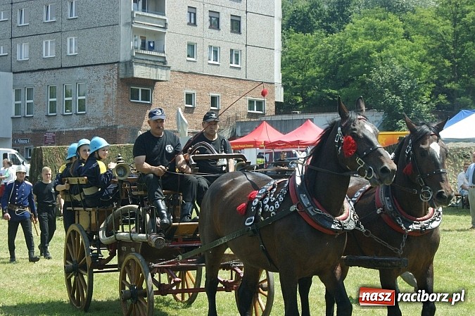 Zdjęcie w galerii na portalu naszraciborz.pl: Wojew&oacute;dzkie Zawody Sikawek Konnych - dwa srebrne krążki dla Bieńkowic wiadomości z regionu