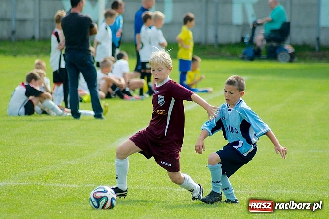 Zdjęcie w galerii na portalu naszraciborz.pl: Tworków Cup 2014: Przegrywać też trzeba się nauczyć. Gospodarze poza podium. Banik z pucharem! wiadomości z regionu