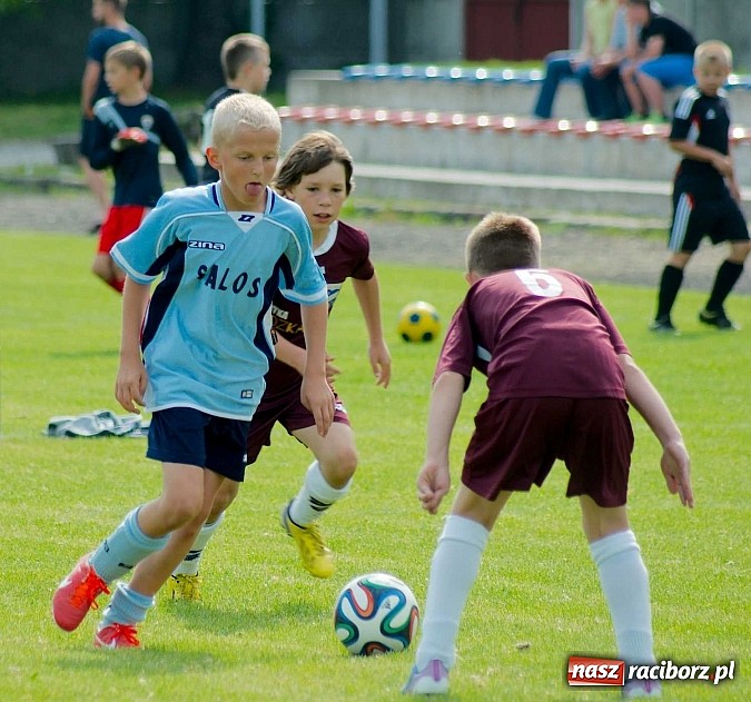 Zdjęcie w galerii na portalu naszraciborz.pl: Tworków Cup 2014: Przegrywać też trzeba się nauczyć. Gospodarze poza podium. Banik z pucharem! wiadomości z regionu