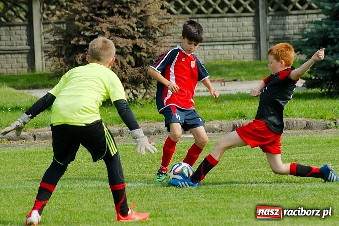 Zdjęcie w galerii na portalu naszraciborz.pl: Tworków Cup 2014: Przegrywać też trzeba się nauczyć. Gospodarze poza podium. Banik z pucharem! wiadomości z regionu