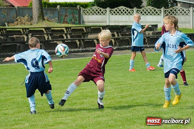 Zdjęcie w galerii na portalu naszraciborz.pl: Tworków Cup 2014: Przegrywać też trzeba się nauczyć. Gospodarze poza podium. Banik z pucharem! wiadomości z regionu