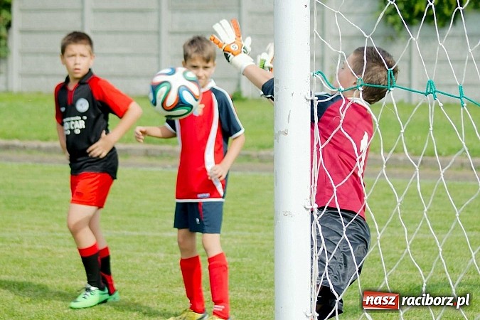 Zdjęcie w galerii na portalu naszraciborz.pl: Tworków Cup 2014: Przegrywać też trzeba się nauczyć. Gospodarze poza podium. Banik z pucharem! wiadomości z regionu