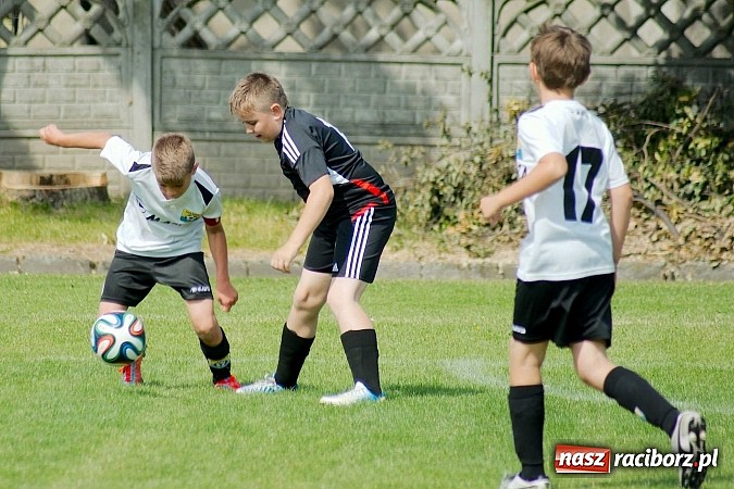 Zdjęcie w galerii na portalu naszraciborz.pl: Tworków Cup 2014: Przegrywać też trzeba się nauczyć. Gospodarze poza podium. Banik z pucharem! wiadomości z regionu