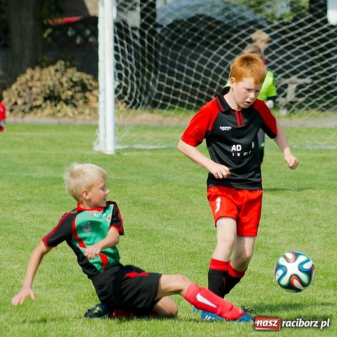Zdjęcie w galerii na portalu naszraciborz.pl: Tworków Cup 2014: Przegrywać też trzeba się nauczyć. Gospodarze poza podium. Banik z pucharem! wiadomości z regionu