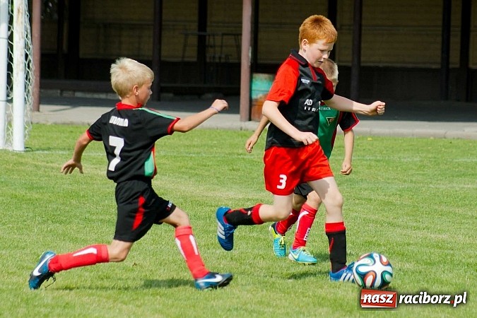 Zdjęcie w galerii na portalu naszraciborz.pl: Tworków Cup 2014: Przegrywać też trzeba się nauczyć. Gospodarze poza podium. Banik z pucharem! wiadomości z regionu