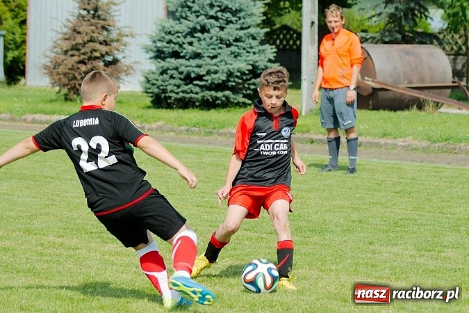 Zdjęcie w galerii na portalu naszraciborz.pl: Tworków Cup 2014: Przegrywać też trzeba się nauczyć. Gospodarze poza podium. Banik z pucharem! wiadomości z regionu