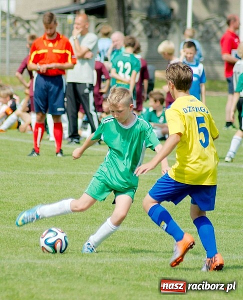 Zdjęcie w galerii na portalu naszraciborz.pl: Tworków Cup 2014: Przegrywać też trzeba się nauczyć. Gospodarze poza podium. Banik z pucharem! wiadomości z regionu