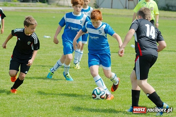 Zdjęcie w galerii na portalu naszraciborz.pl: Tworków Cup 2014: Przegrywać też trzeba się nauczyć. Gospodarze poza podium. Banik z pucharem! wiadomości z regionu