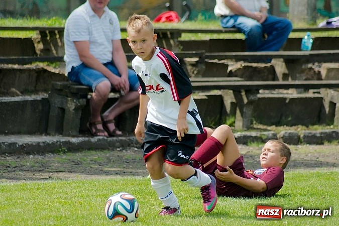 Zdjęcie w galerii na portalu naszraciborz.pl: Tworków Cup 2014: Przegrywać też trzeba się nauczyć. Gospodarze poza podium. Banik z pucharem! wiadomości z regionu