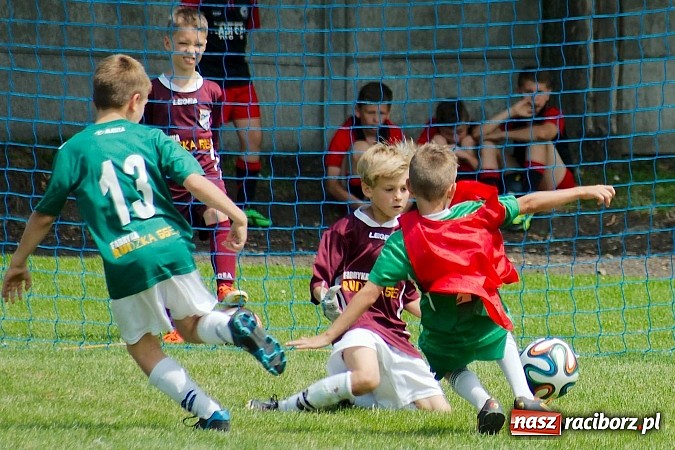 Zdjęcie w galerii na portalu naszraciborz.pl: Tworków Cup 2014: Przegrywać też trzeba się nauczyć. Gospodarze poza podium. Banik z pucharem! wiadomości z regionu