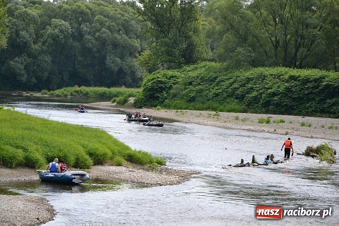Zdjęcie w galerii na portalu naszraciborz.pl: Meandry Odry zachwycają. Zobacz zdjęcia z trasy wczorajszego spływu wiadomości z regionu