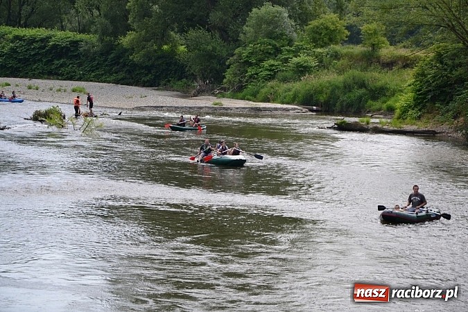 Zdjęcie w galerii na portalu naszraciborz.pl: Meandry Odry zachwycają. Zobacz zdjęcia z trasy wczorajszego spływu wiadomości z regionu