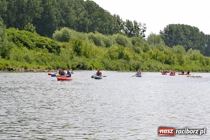 Zdjęcie w galerii na portalu naszraciborz.pl: Meandry Odry zachwycają. Zobacz zdjęcia z trasy wczorajszego spływu wiadomości z regionu