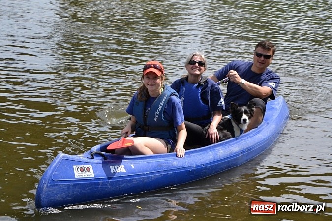Zdjęcie w galerii na portalu naszraciborz.pl: Meandry Odry zachwycają. Zobacz zdjęcia z trasy wczorajszego spływu wiadomości z regionu
