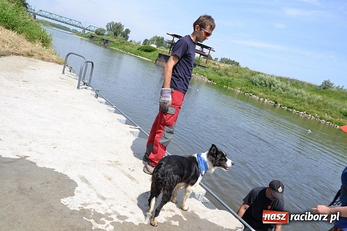 Zdjęcie w galerii na portalu naszraciborz.pl: Meandry Odry zachwycają. Zobacz zdjęcia z trasy wczorajszego spływu wiadomości z regionu