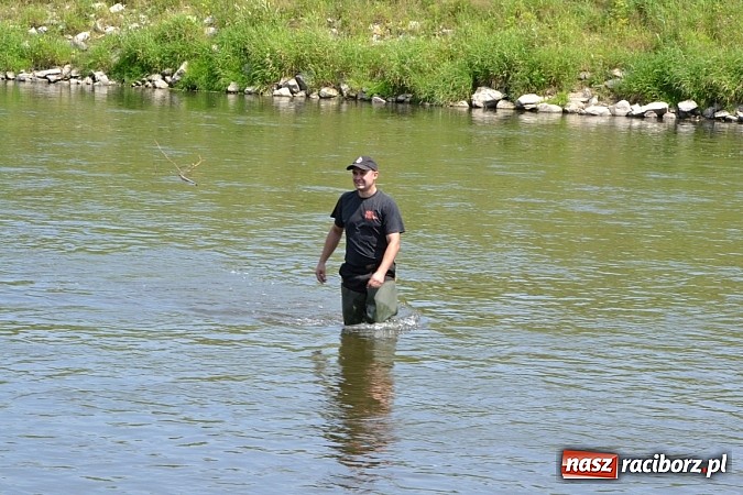 Zdjęcie w galerii na portalu naszraciborz.pl: Meandry Odry zachwycają. Zobacz zdjęcia z trasy wczorajszego spływu wiadomości z regionu