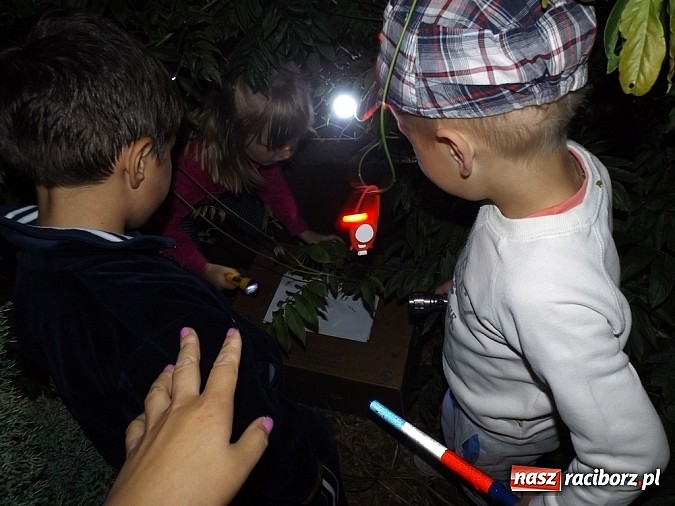 Zdjęcie w galerii na portalu naszraciborz.pl: Zielona noc w przedszkolu w Łańcach wiadomości z regionu