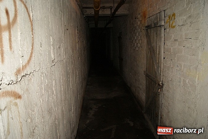 Zdjęcie w galerii na portalu naszraciborz.pl: Problem z piwnicami na Opawskiej... wiadomości z regionu