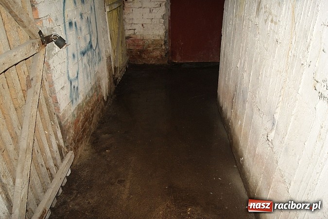 Zdjęcie w galerii na portalu naszraciborz.pl: Problem z piwnicami na Opawskiej... wiadomości z regionu