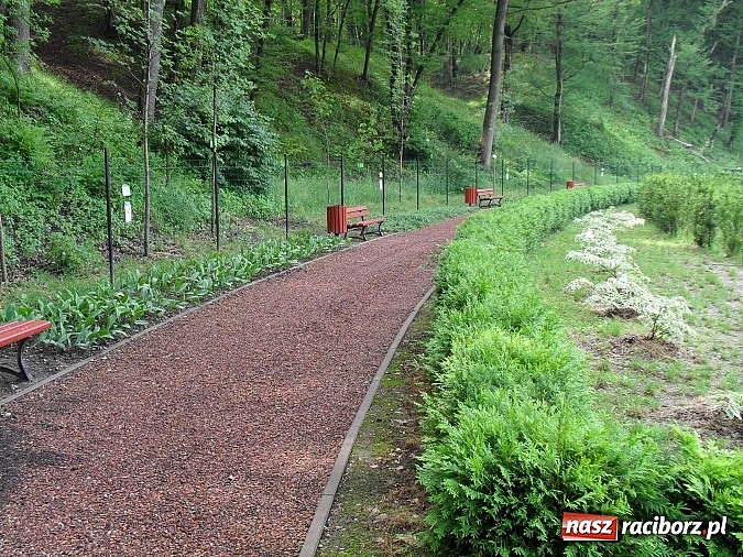 Zdjęcie w galerii na portalu naszraciborz.pl: Wakacyjny spacer po Oborze. Poszukaj rzadkich gatunków roślin wiadomości z regionu