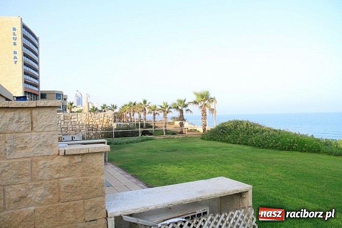 Zdjęcie w galerii na portalu naszraciborz.pl: Pływacy Szkoły Mistrzostwa Sportowego po raz pierwszy w historii startowali w Izraelu wiadomości z regionu