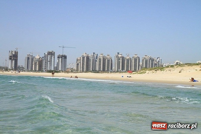 Zdjęcie w galerii na portalu naszraciborz.pl: Pływacy Szkoły Mistrzostwa Sportowego po raz pierwszy w historii startowali w Izraelu wiadomości z regionu