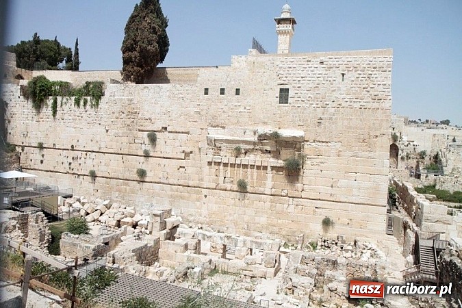 Zdjęcie w galerii na portalu naszraciborz.pl: Pływacy Szkoły Mistrzostwa Sportowego po raz pierwszy w historii startowali w Izraelu wiadomości z regionu