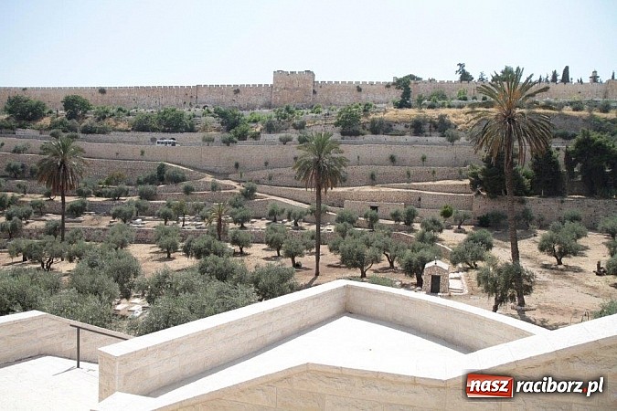 Zdjęcie w galerii na portalu naszraciborz.pl: Pływacy Szkoły Mistrzostwa Sportowego po raz pierwszy w historii startowali w Izraelu wiadomości z regionu