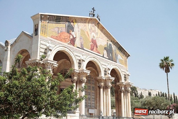 Zdjęcie w galerii na portalu naszraciborz.pl: Pływacy Szkoły Mistrzostwa Sportowego po raz pierwszy w historii startowali w Izraelu wiadomości z regionu