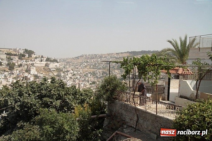 Zdjęcie w galerii na portalu naszraciborz.pl: Pływacy Szkoły Mistrzostwa Sportowego po raz pierwszy w historii startowali w Izraelu wiadomości z regionu