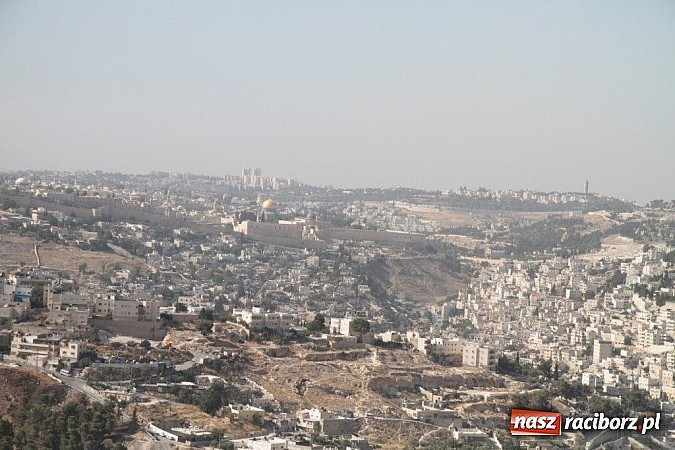 Zdjęcie w galerii na portalu naszraciborz.pl: Pływacy Szkoły Mistrzostwa Sportowego po raz pierwszy w historii startowali w Izraelu wiadomości z regionu