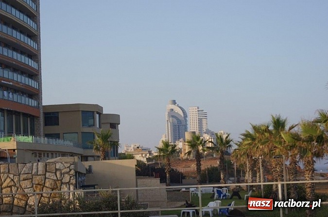 Zdjęcie w galerii na portalu naszraciborz.pl: Pływacy Szkoły Mistrzostwa Sportowego po raz pierwszy w historii startowali w Izraelu wiadomości z regionu