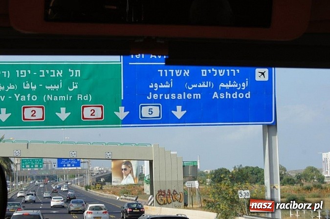 Zdjęcie w galerii na portalu naszraciborz.pl: Pływacy Szkoły Mistrzostwa Sportowego po raz pierwszy w historii startowali w Izraelu wiadomości z regionu