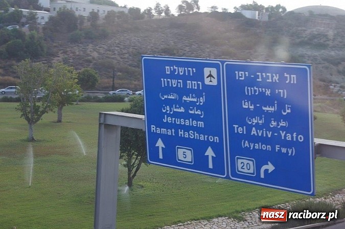 Zdjęcie w galerii na portalu naszraciborz.pl: Pływacy Szkoły Mistrzostwa Sportowego po raz pierwszy w historii startowali w Izraelu wiadomości z regionu