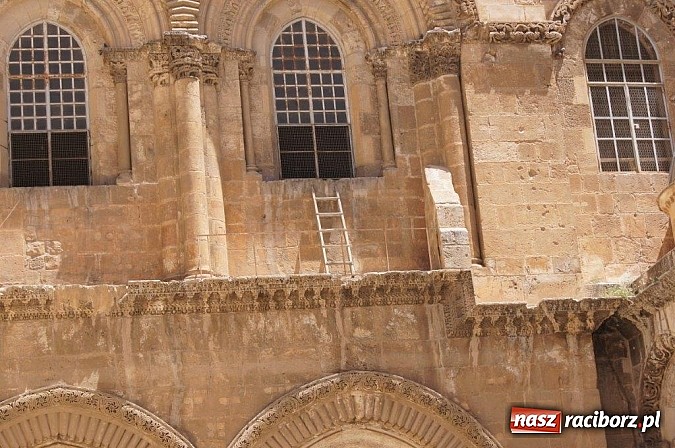 Zdjęcie w galerii na portalu naszraciborz.pl: Pływacy Szkoły Mistrzostwa Sportowego po raz pierwszy w historii startowali w Izraelu wiadomości z regionu