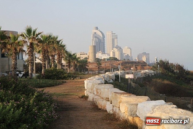 Zdjęcie w galerii na portalu naszraciborz.pl: Pływacy Szkoły Mistrzostwa Sportowego po raz pierwszy w historii startowali w Izraelu wiadomości z regionu