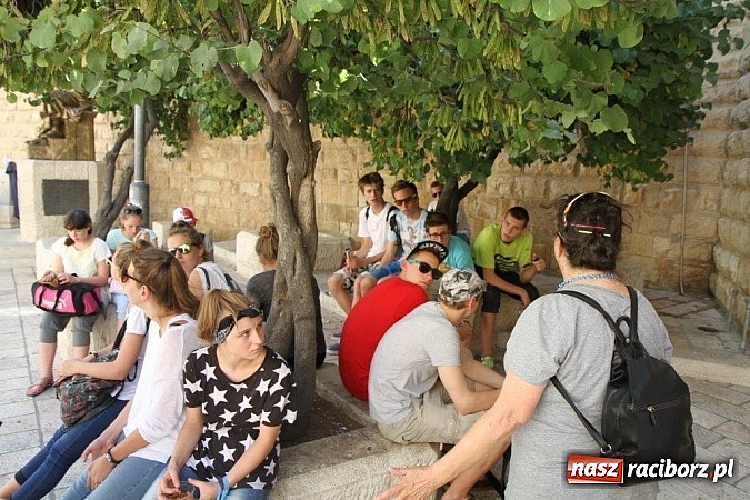 Zdjęcie w galerii na portalu naszraciborz.pl: Pływacy Szkoły Mistrzostwa Sportowego po raz pierwszy w historii startowali w Izraelu wiadomości z regionu