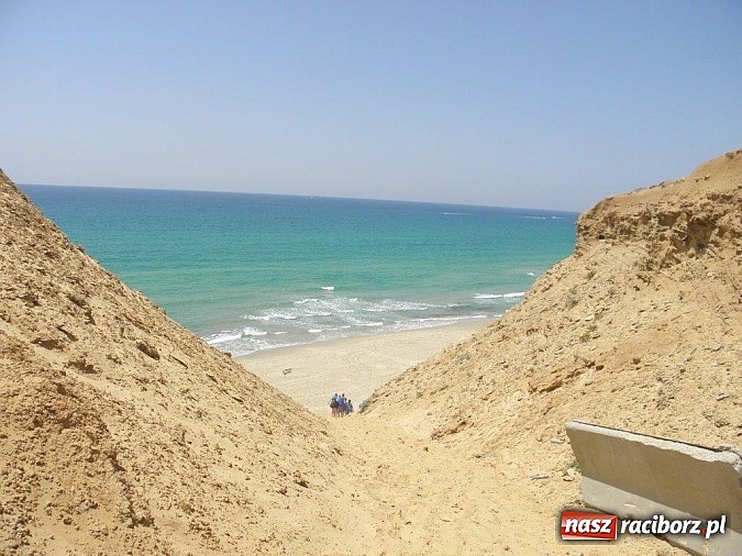 Zdjęcie w galerii na portalu naszraciborz.pl: Pływacy Szkoły Mistrzostwa Sportowego po raz pierwszy w historii startowali w Izraelu wiadomości z regionu