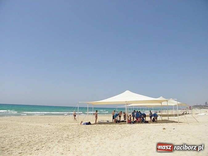 Zdjęcie w galerii na portalu naszraciborz.pl: Pływacy Szkoły Mistrzostwa Sportowego po raz pierwszy w historii startowali w Izraelu wiadomości z regionu