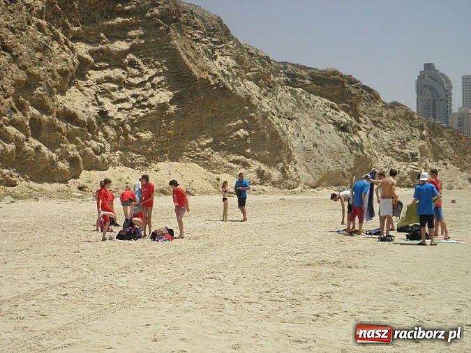 Zdjęcie w galerii na portalu naszraciborz.pl: Pływacy Szkoły Mistrzostwa Sportowego po raz pierwszy w historii startowali w Izraelu wiadomości z regionu