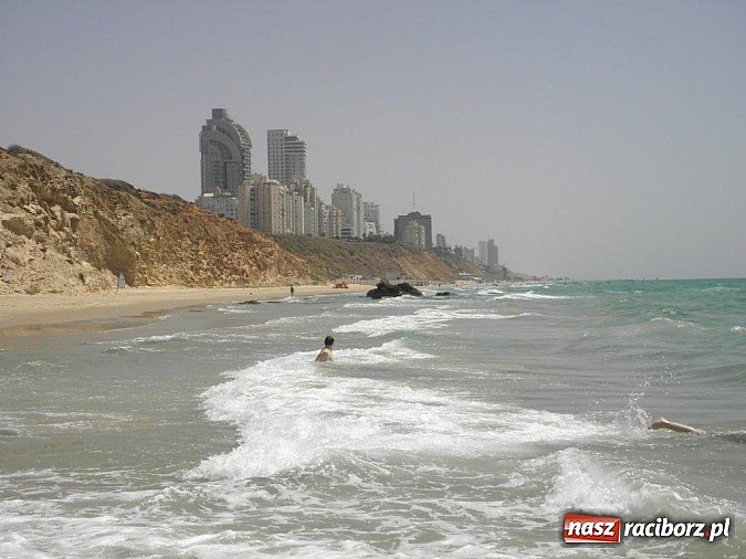 Zdjęcie w galerii na portalu naszraciborz.pl: Pływacy Szkoły Mistrzostwa Sportowego po raz pierwszy w historii startowali w Izraelu wiadomości z regionu