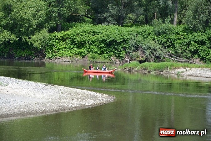 Zdjęcie w galerii na portalu naszraciborz.pl: Trwa Meander Orient Express wiadomości z regionu