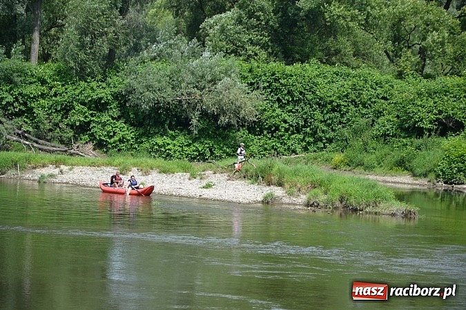 Zdjęcie w galerii na portalu naszraciborz.pl: Trwa Meander Orient Express wiadomości z regionu