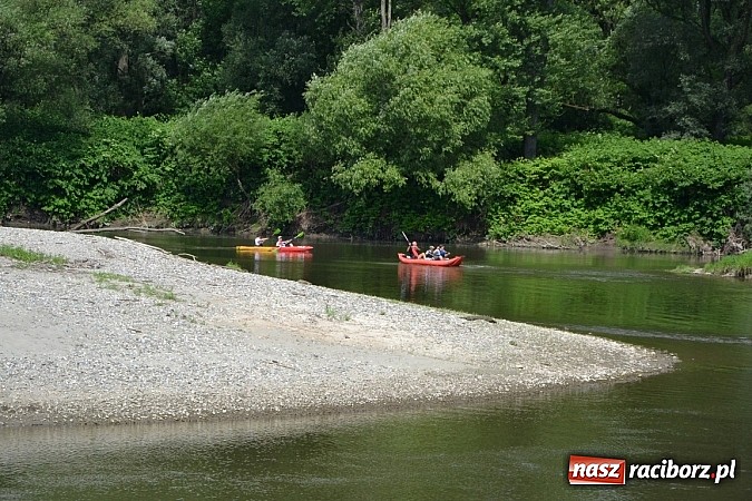 Zdjęcie w galerii na portalu naszraciborz.pl: Trwa Meander Orient Express wiadomości z regionu