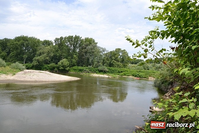 Zdjęcie w galerii na portalu naszraciborz.pl: Trwa Meander Orient Express wiadomości z regionu