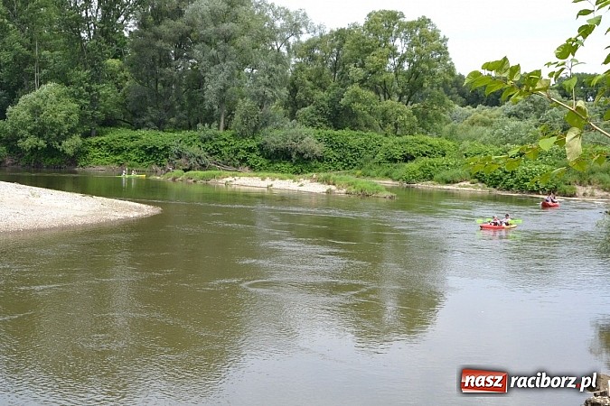 Zdjęcie w galerii na portalu naszraciborz.pl: Trwa Meander Orient Express wiadomości z regionu