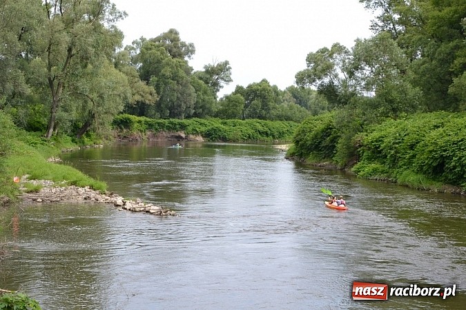 Zdjęcie w galerii na portalu naszraciborz.pl: Trwa Meander Orient Express wiadomości z regionu