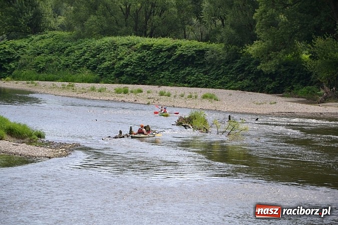 Zdjęcie w galerii na portalu naszraciborz.pl: Trwa Meander Orient Express wiadomości z regionu